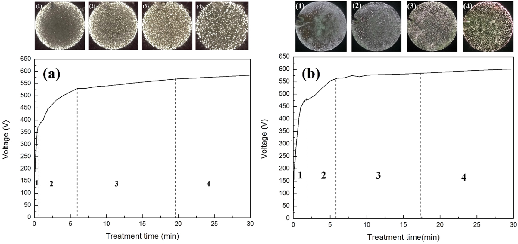 A comparative study on the microstructure and corrosion resistance of ...