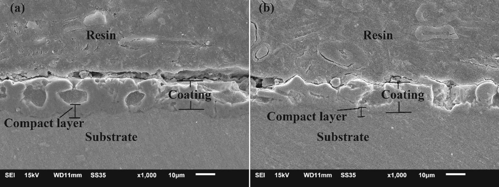 A comparative study on the microstructure and corrosion resistance of ...