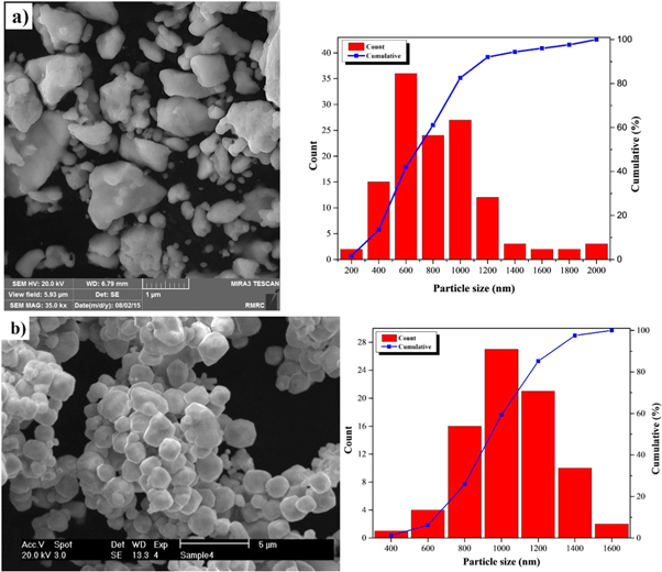 Development of high densified tantalum-tungsten alloy by powder ...