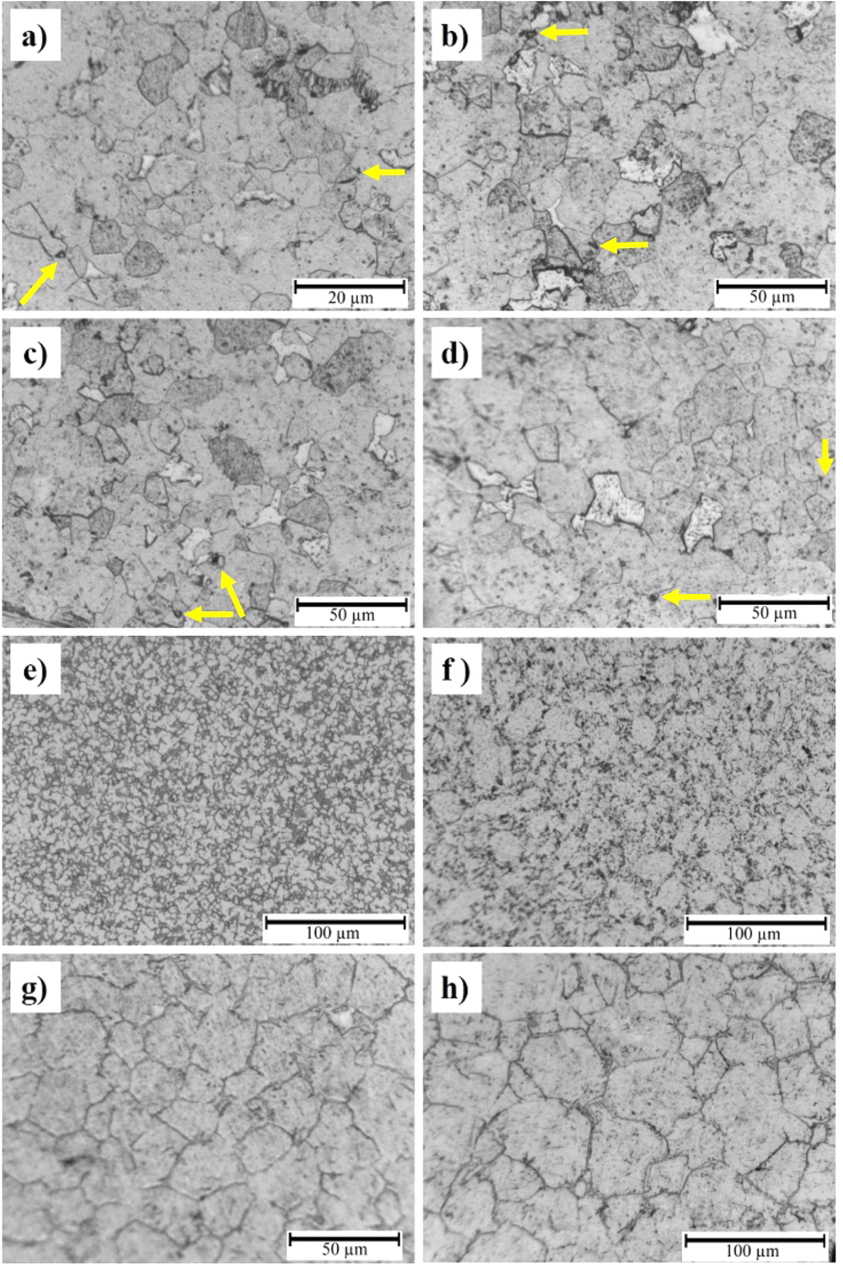 Development of high densified tantalum-tungsten alloy by powder ...