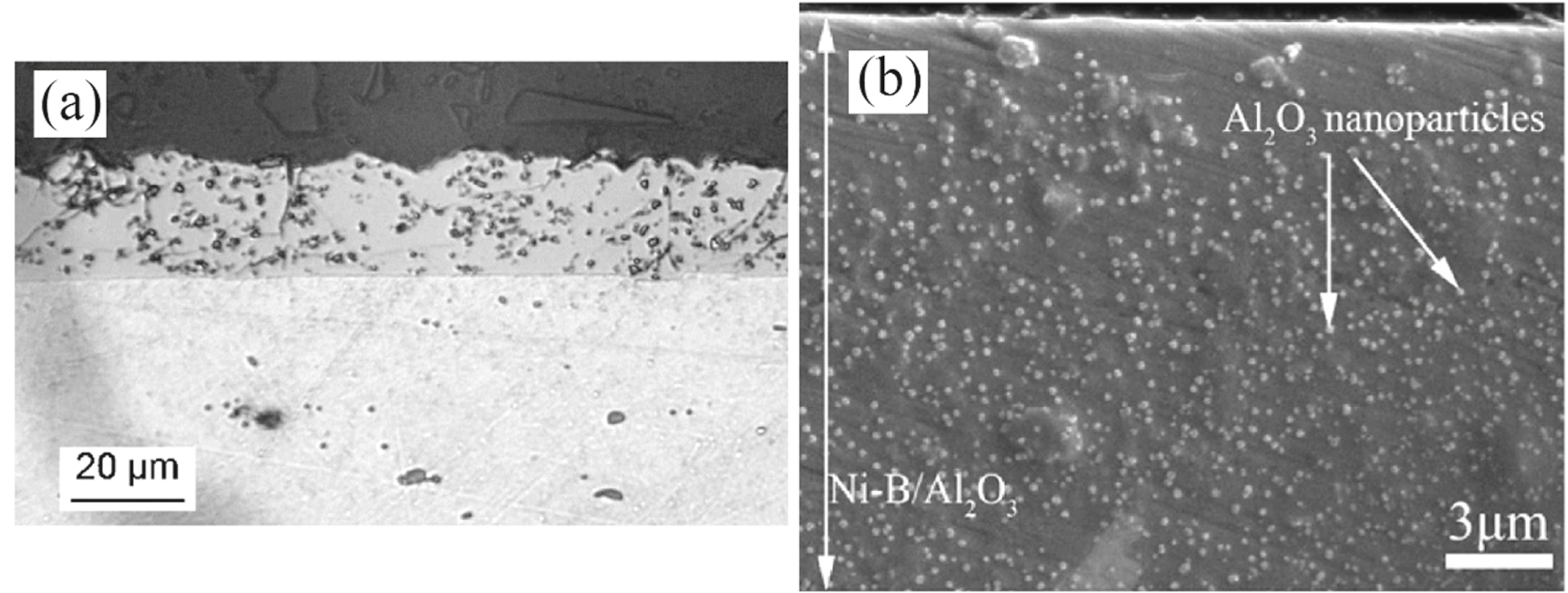 A review of electrodeposited composite coatings with Ni–B alloy matrix ...