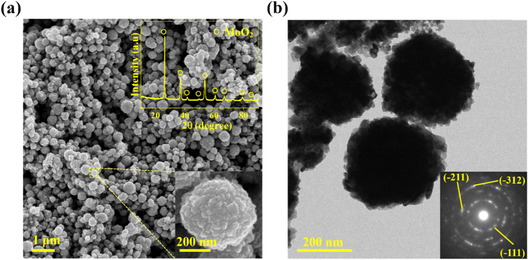 Facile ethylene glycol-assisted hydrothermal synthesis of MoO2 ...