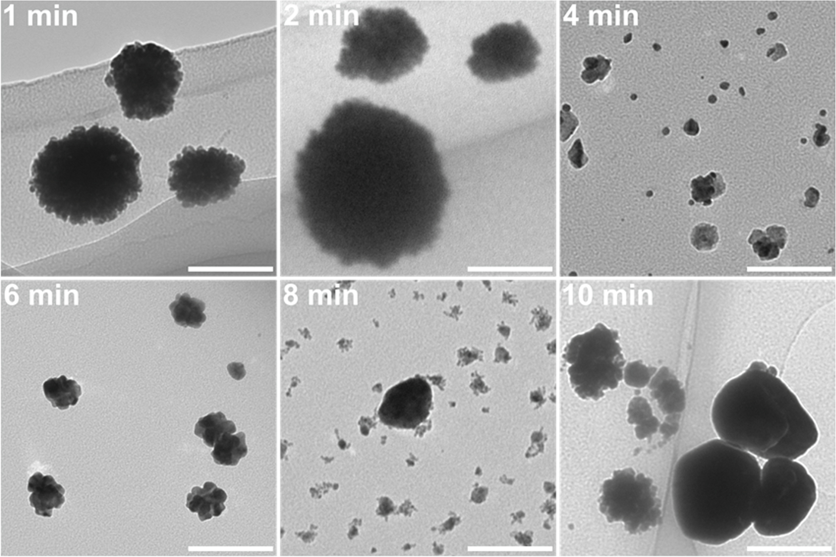 Size/shape control of gold nanoparticles synthesized by alternating ...