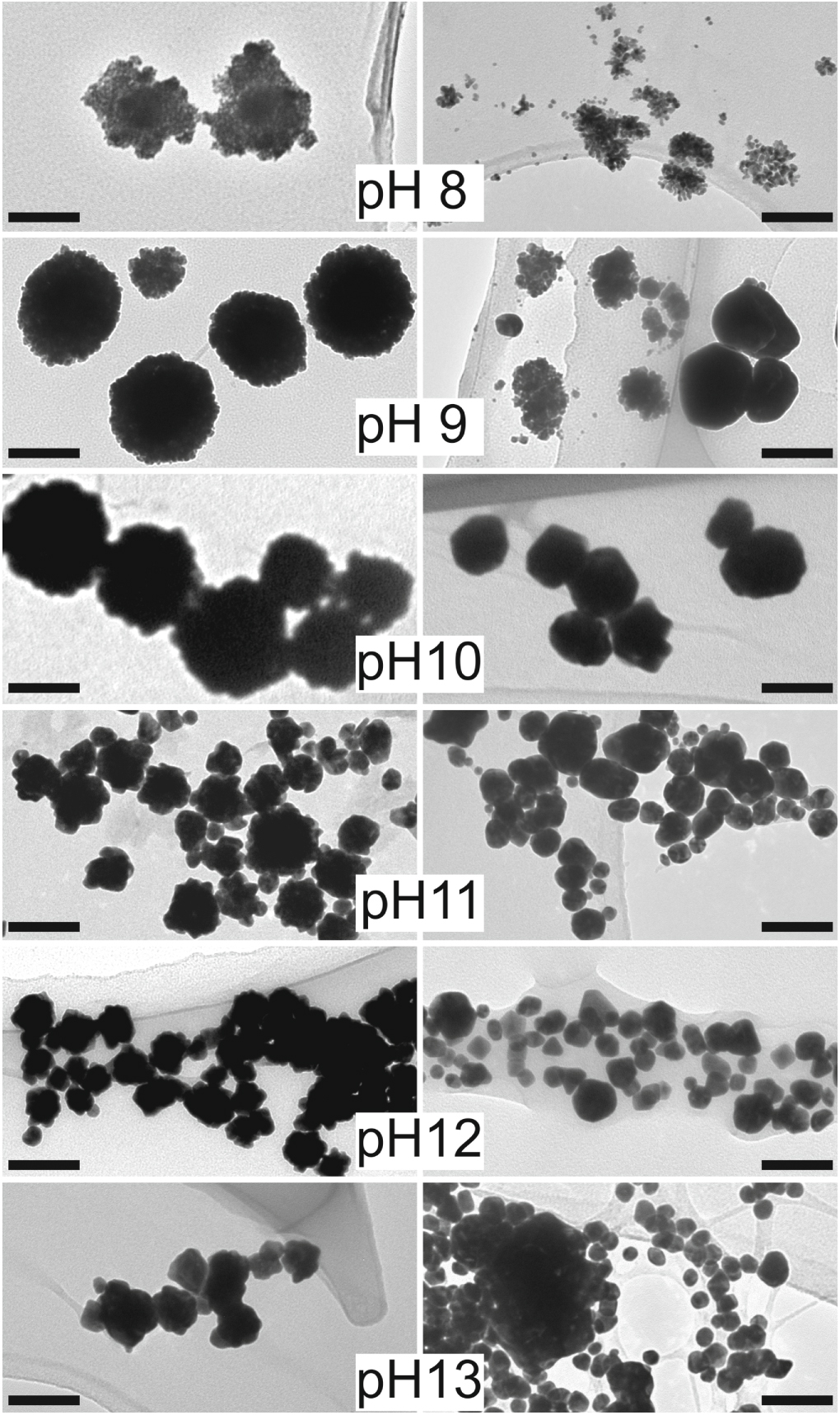 Size/shape control of gold nanoparticles synthesized by alternating ...