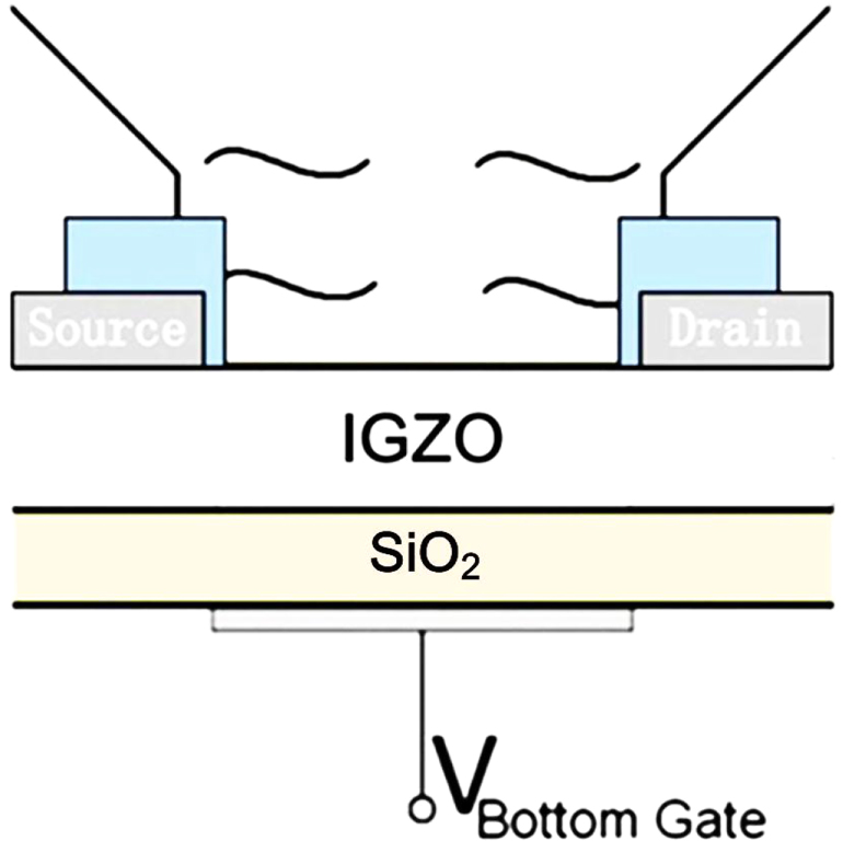Investigation of pH sensor based on liquid-solid dual-gated IGZO thin ...
