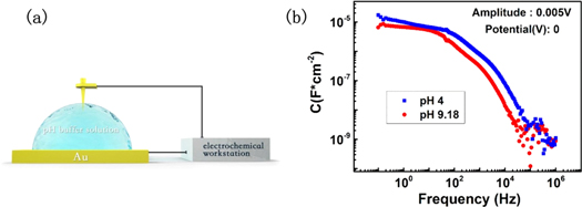 Investigation of pH sensor based on liquid-solid dual-gated IGZO thin ...