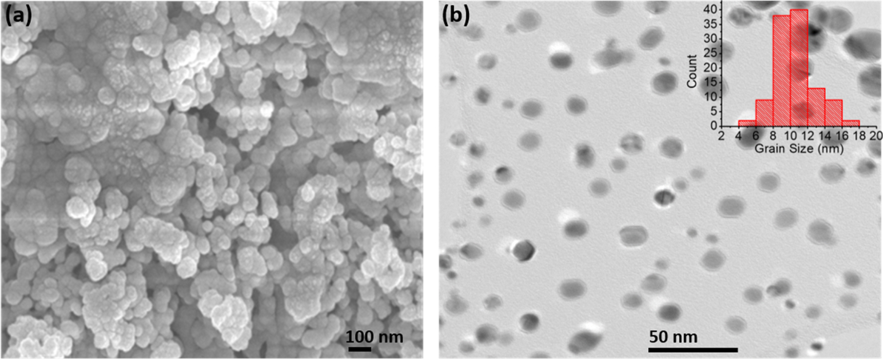 Green synthesis of Bryophyllum pinnatum aqueous leaf extract