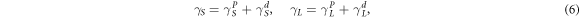 Equation (6)
