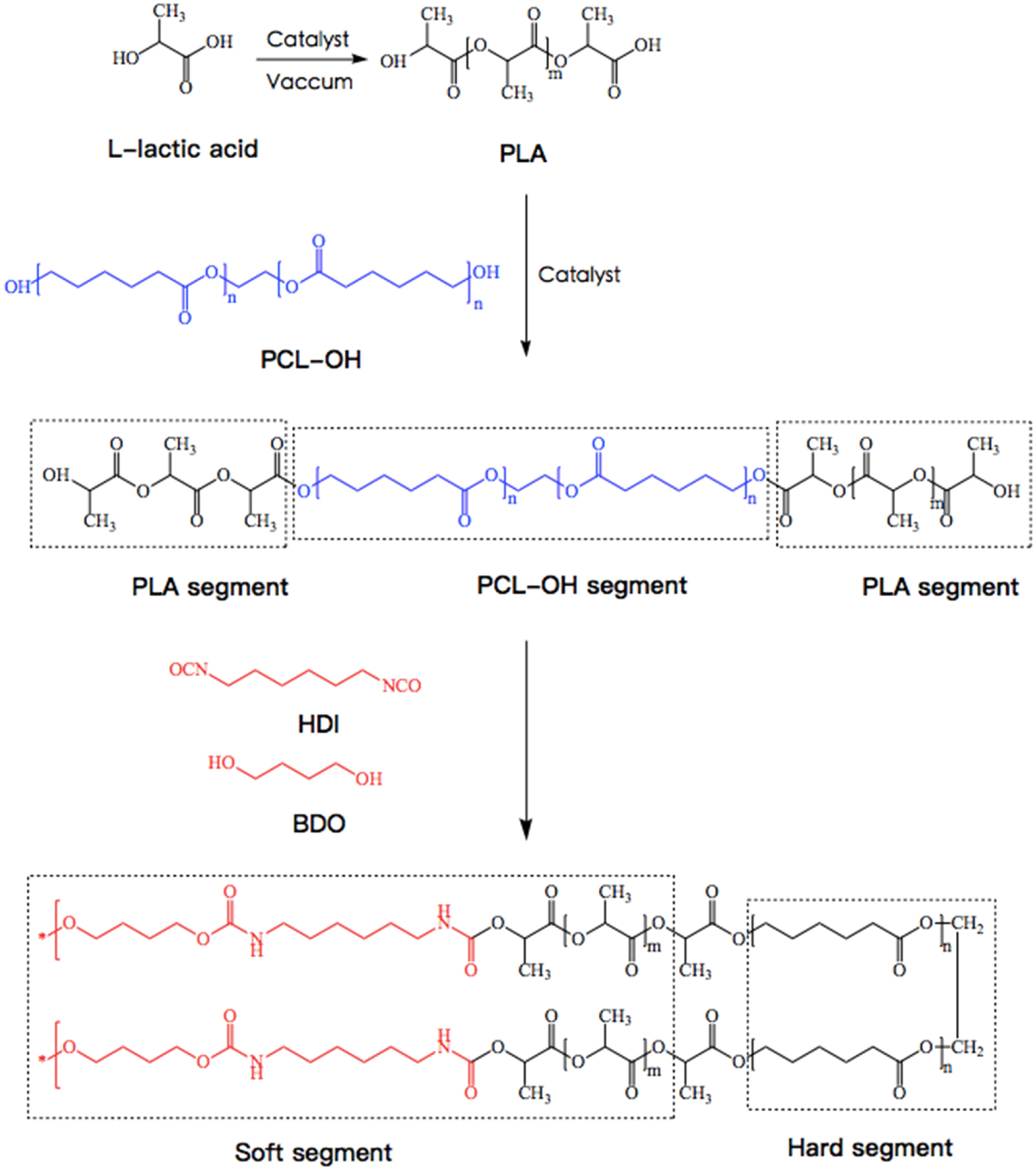 Pla Chain Example Synthesis of PLA-based thermoplastic elastomer and study on preparation ...