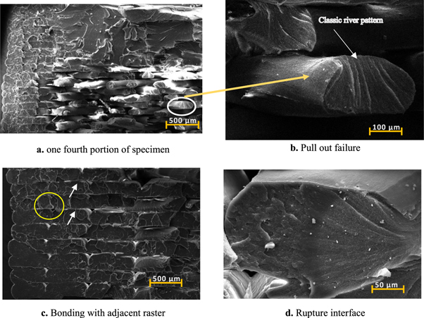 Mechanical characterization and experimental modal analysis of 3D ...