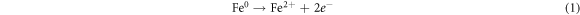 Equation (1)