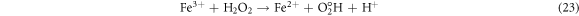 Equation (23)