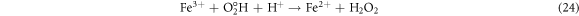 Equation (24)