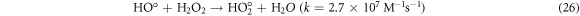 Equation (26)