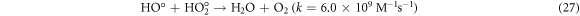 Equation (27)