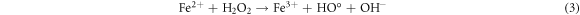 Equation (3)