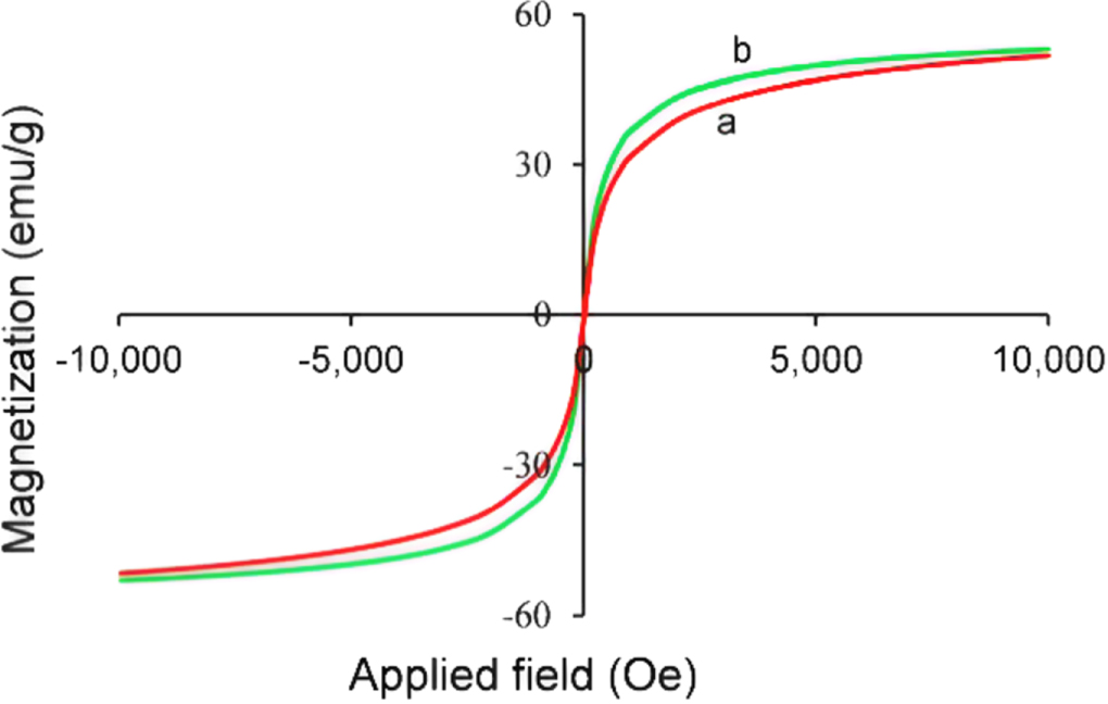 A facile one-pot synthesis of poly(acrylic acid)-functionalized ...