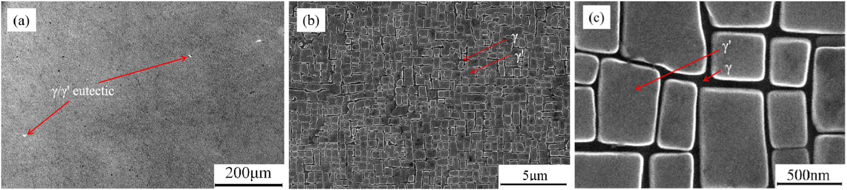 Microstructure evolution of DD6 during different heat treatment ...
