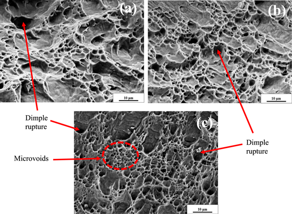 Microstructure, mechanical and corrosion properties of cryorolled ...