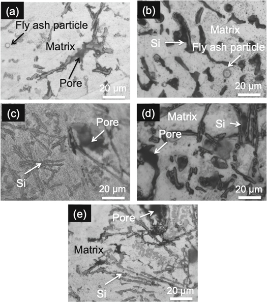 Mechanical properties and wear behavior of fly ash particle reinforced ...