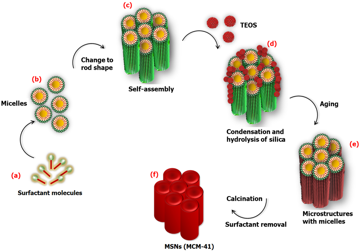 Role of mesoporous silica nanoparticles for the drug delivery ...