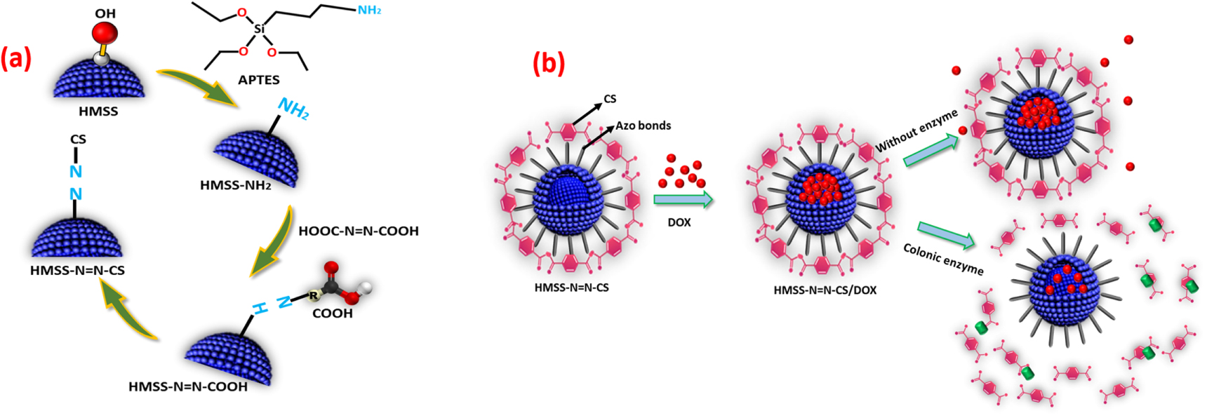 Role of mesoporous silica nanoparticles for the drug delivery ...