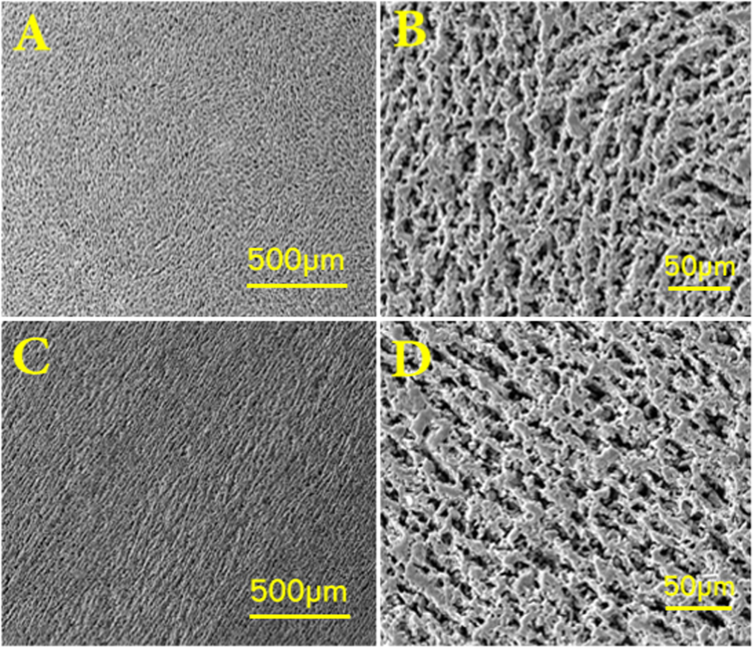 Improvement of alumina-based porous body fabricated by freeze casting ...