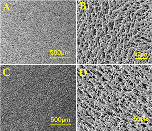 Improvement of alumina-based porous body fabricated by freeze casting ...