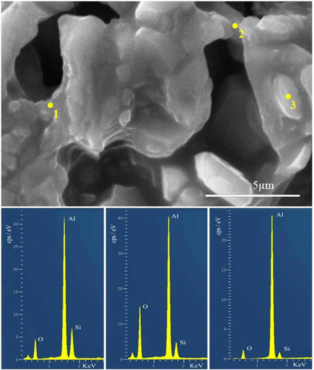 Improvement of alumina-based porous body fabricated by freeze casting ...