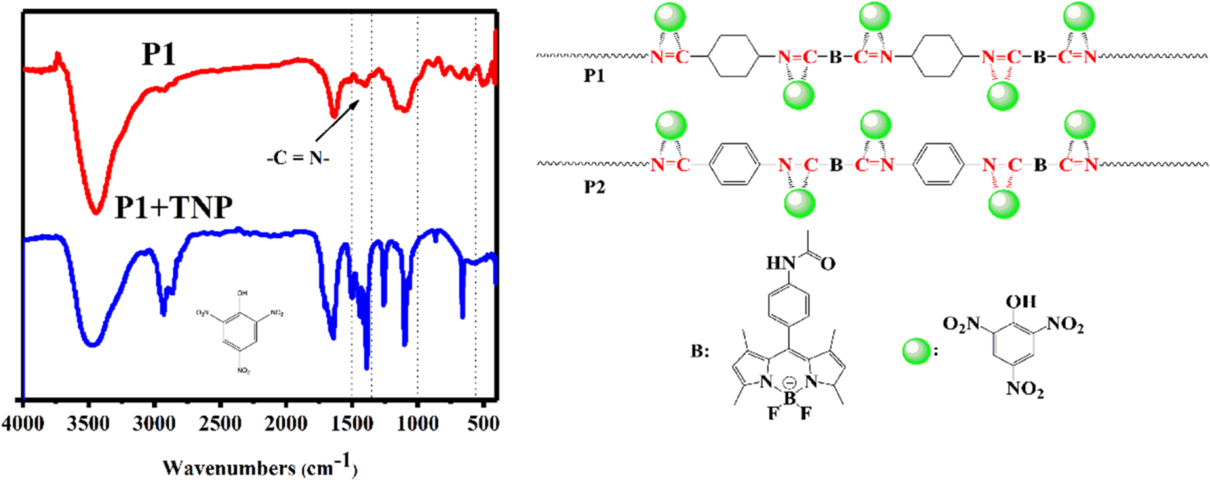 Fluorescent macromolecular chemosensors for highly and selectively ...