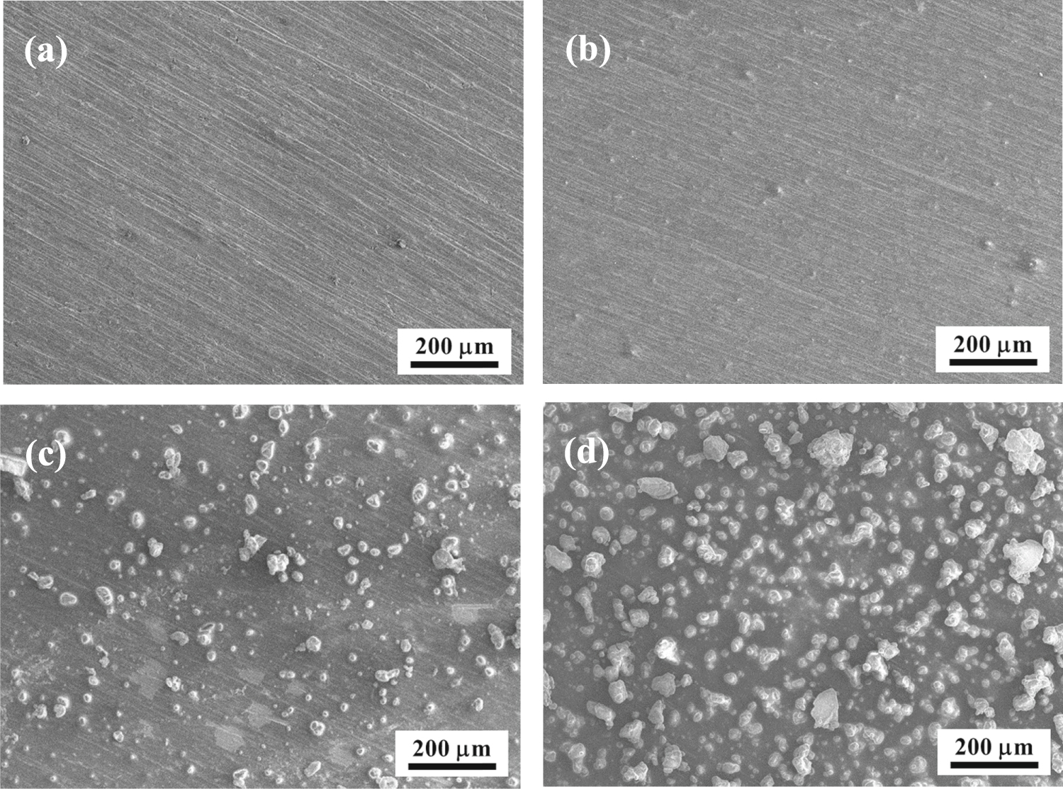 Feasible fabrication of durable superhydrophobic SiO2 coatings with ...