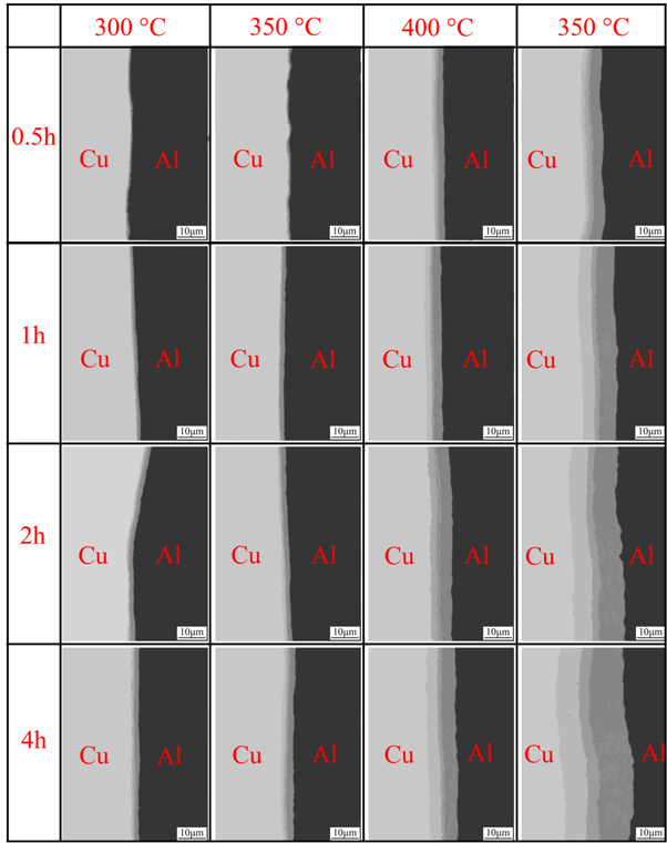 Effect of annealing temperature and time on the microstructure ...