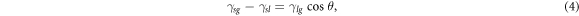Equation (4)