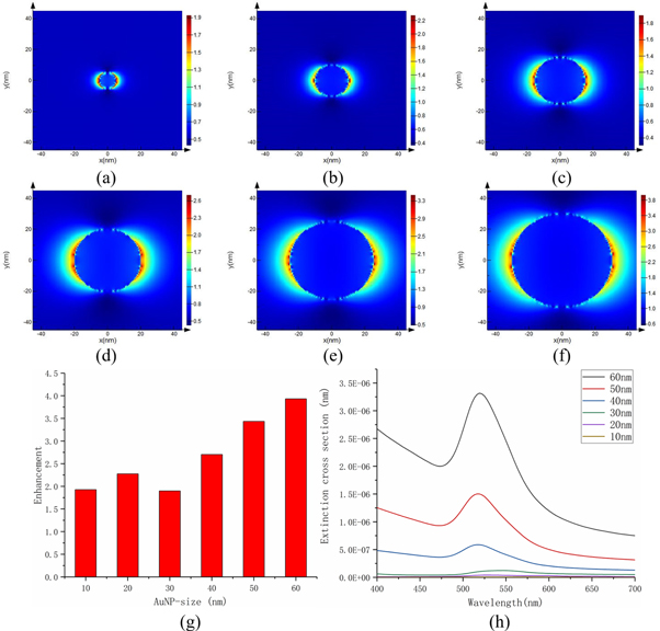 FDTD simulation of the optical properties for gold nanoparticles ...