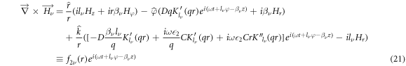 Equation (21)