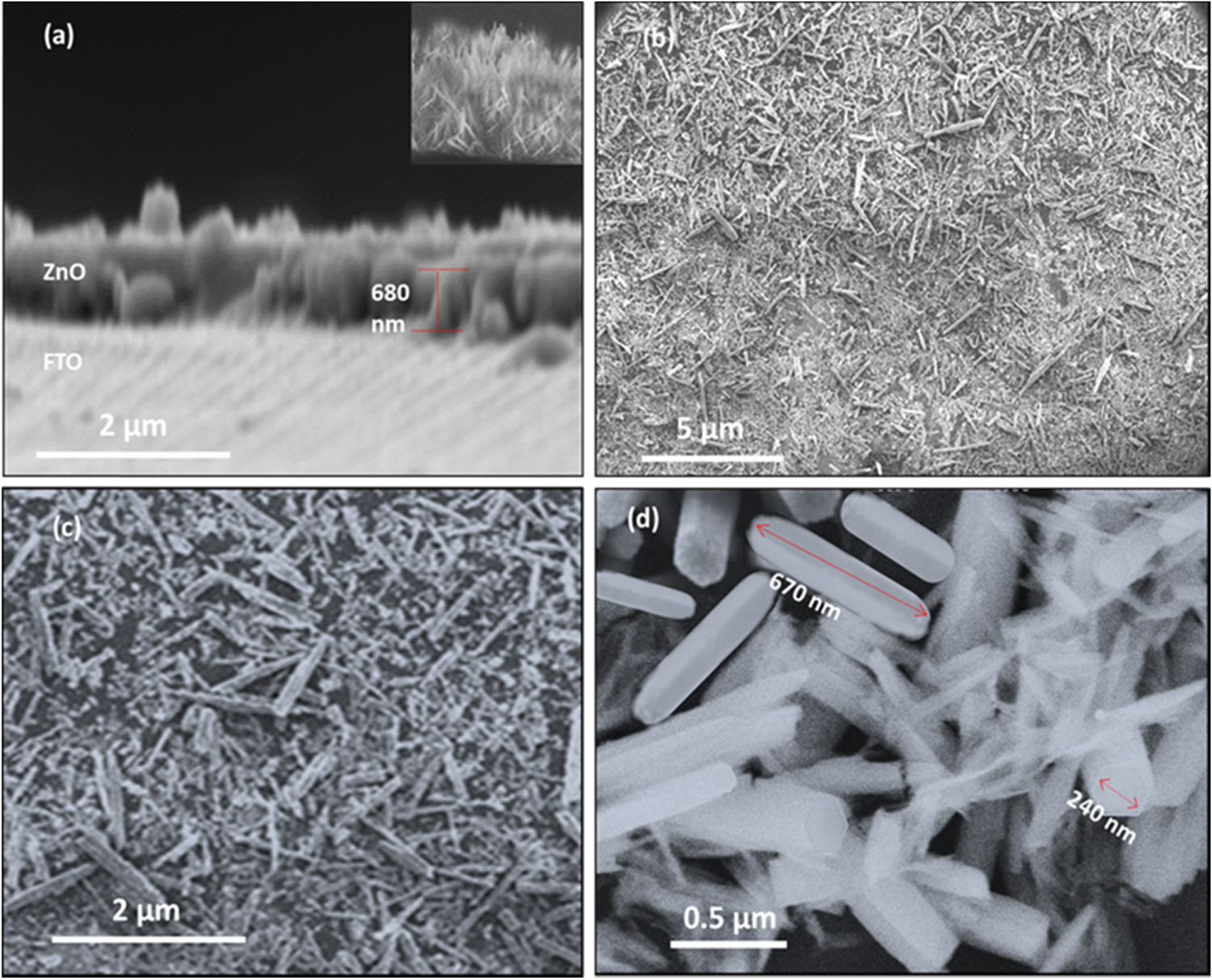 Growth of ZnO nanorods on FTO glass substrate - IOPscience
