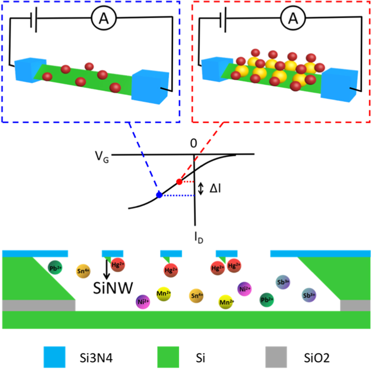 Gold nanoparticle modified silicon nanowire array based sensor for low ...