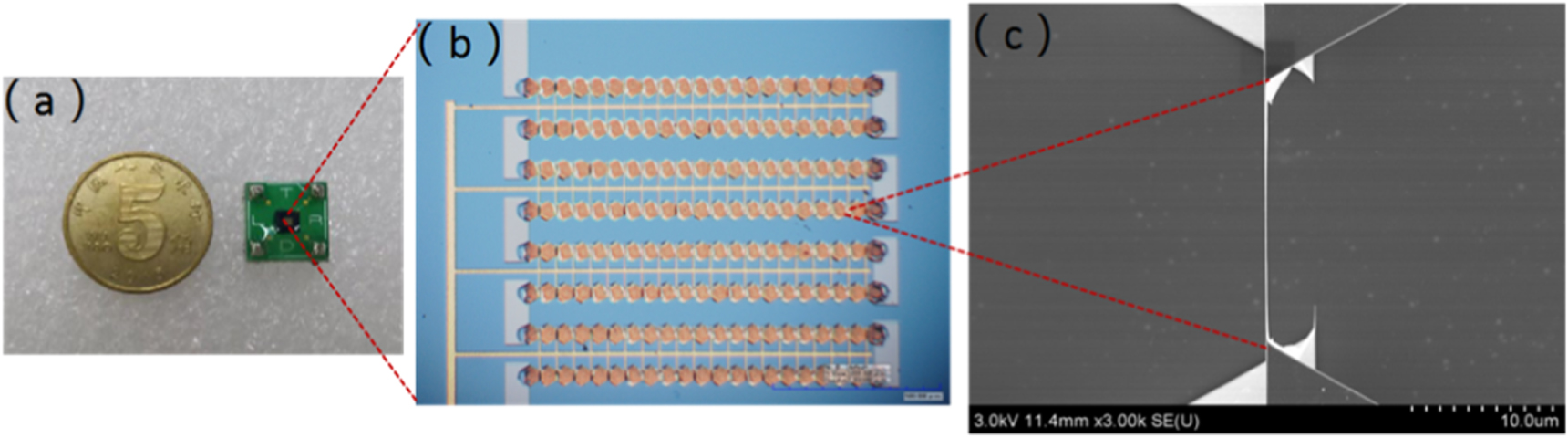 Gold nanoparticle modified silicon nanowire array based sensor for low ...