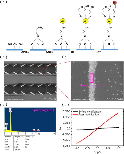 Gold nanoparticle modified silicon nanowire array based sensor for low ...