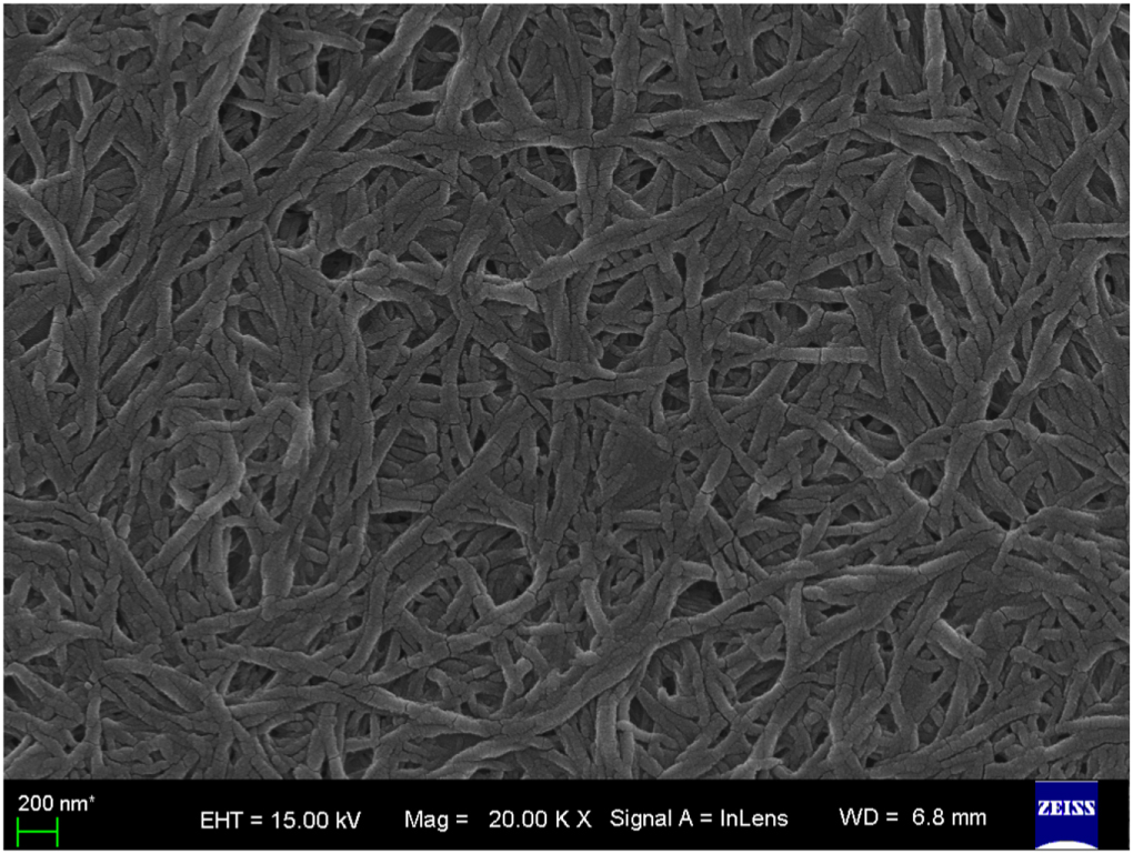 Effect of thermorheological properties on tribological behaviors of ...