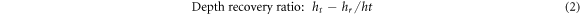 Equation (2)