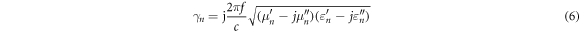 Equation (6)