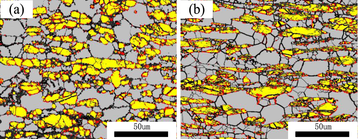 Hot deformation behavior and microstructural evolution of 2205 duplex ...