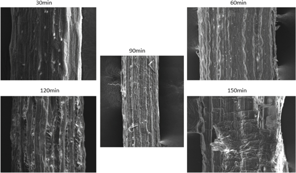 Figure 17.