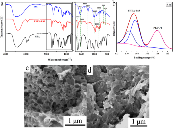 Tough and conductive polymer hydrogel based on double network for photo ...