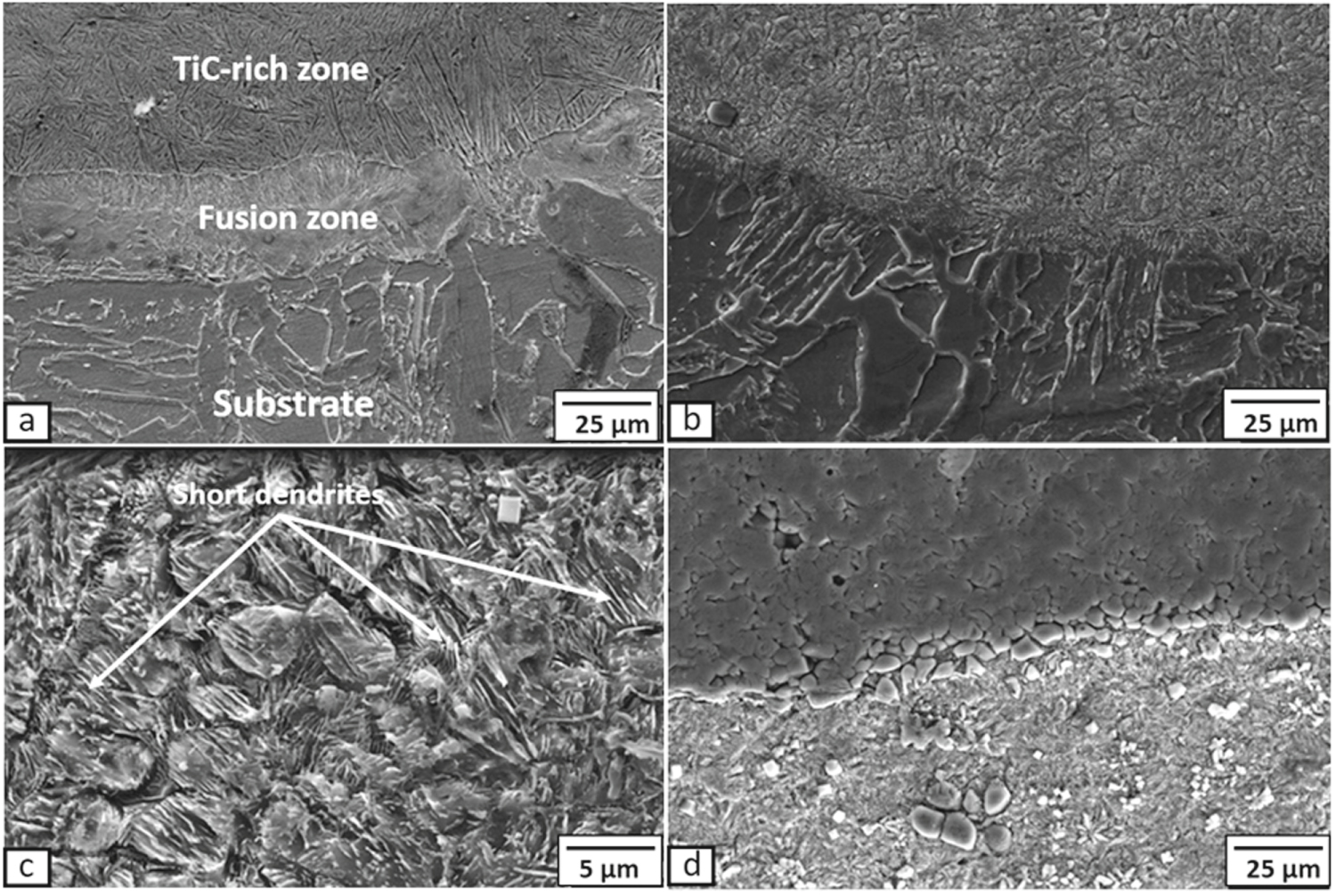Microstructural characterization of different metal matrix composite ...