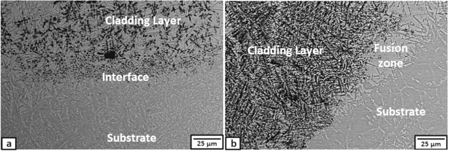 Microstructural characterization of different metal matrix composite ...