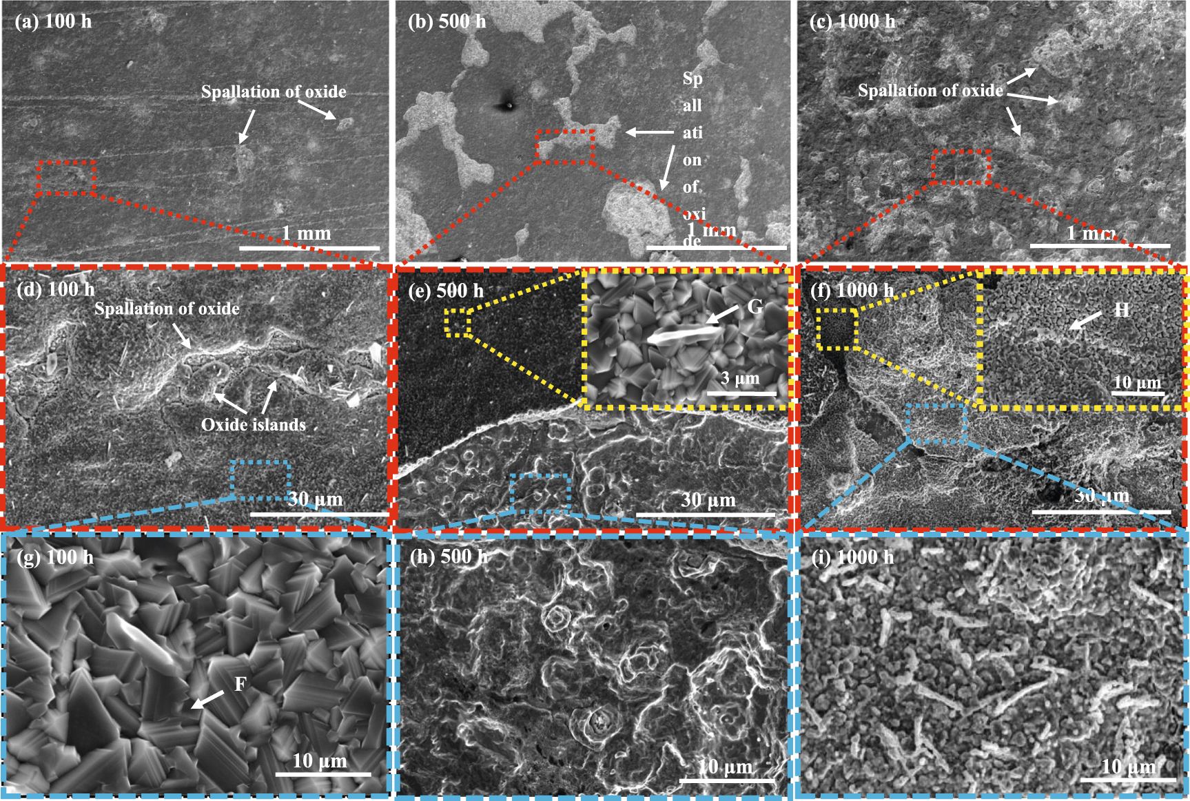 Oxidation behavior of 316L austenitic stainless steel in high ...