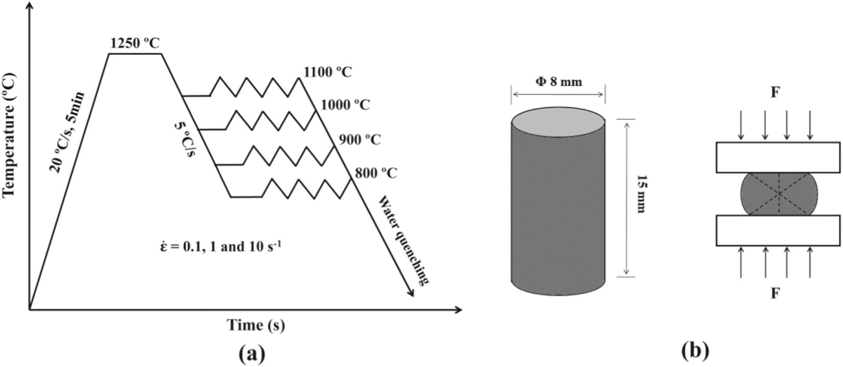 Effect of deformation parameters on microstructural evolution during ...
