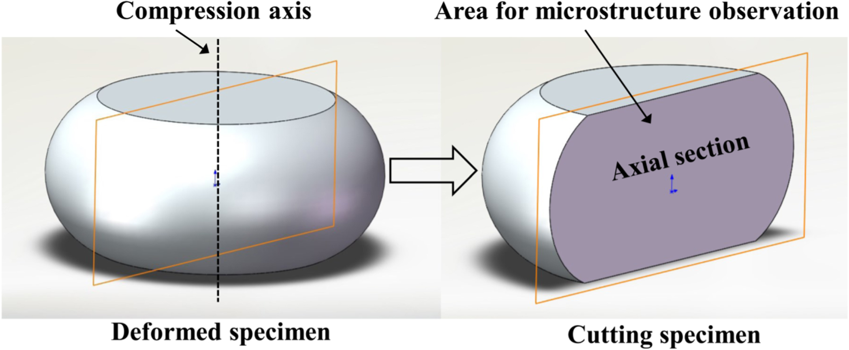 Effect of deformation parameters on microstructural evolution during ...